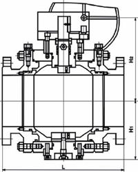 高壓鍛鋼球閥結(jié)構(gòu)圖